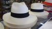 Panama Hat